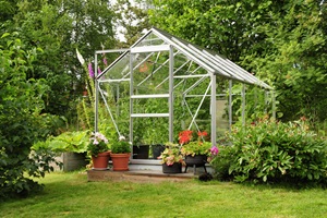 Greenhouse with plants