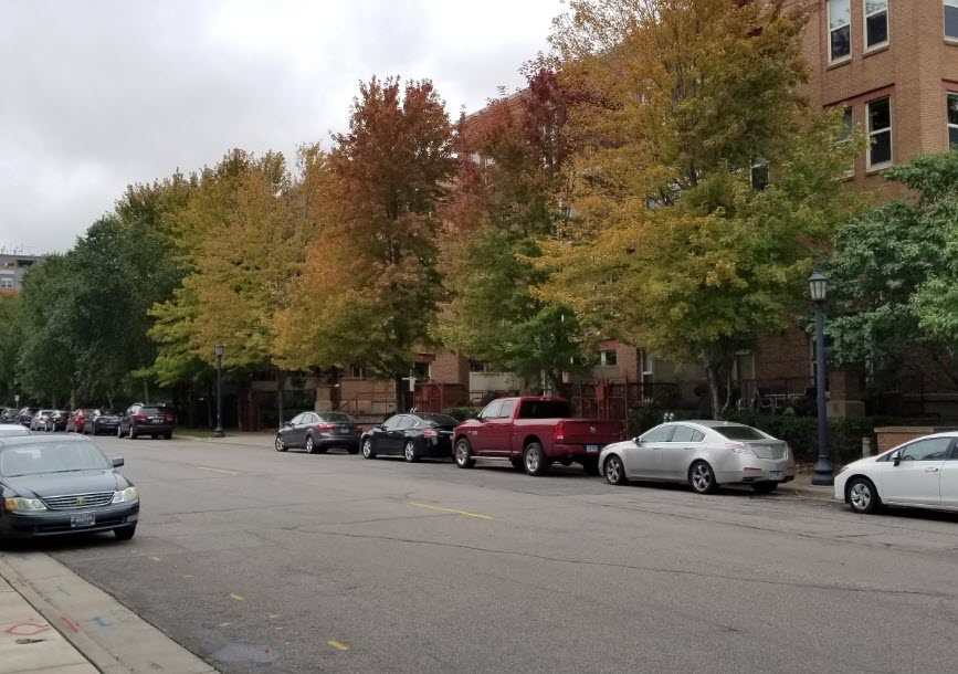 Street with trees and cars parked on each side