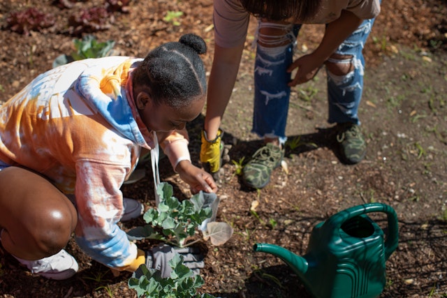 Child planting with adult nearby