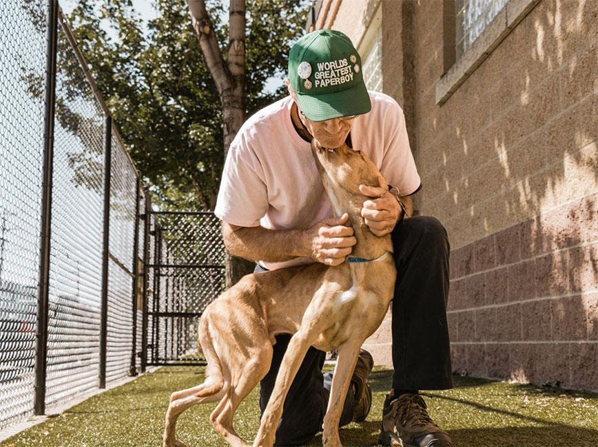 Man playing with dog Man playing with dog