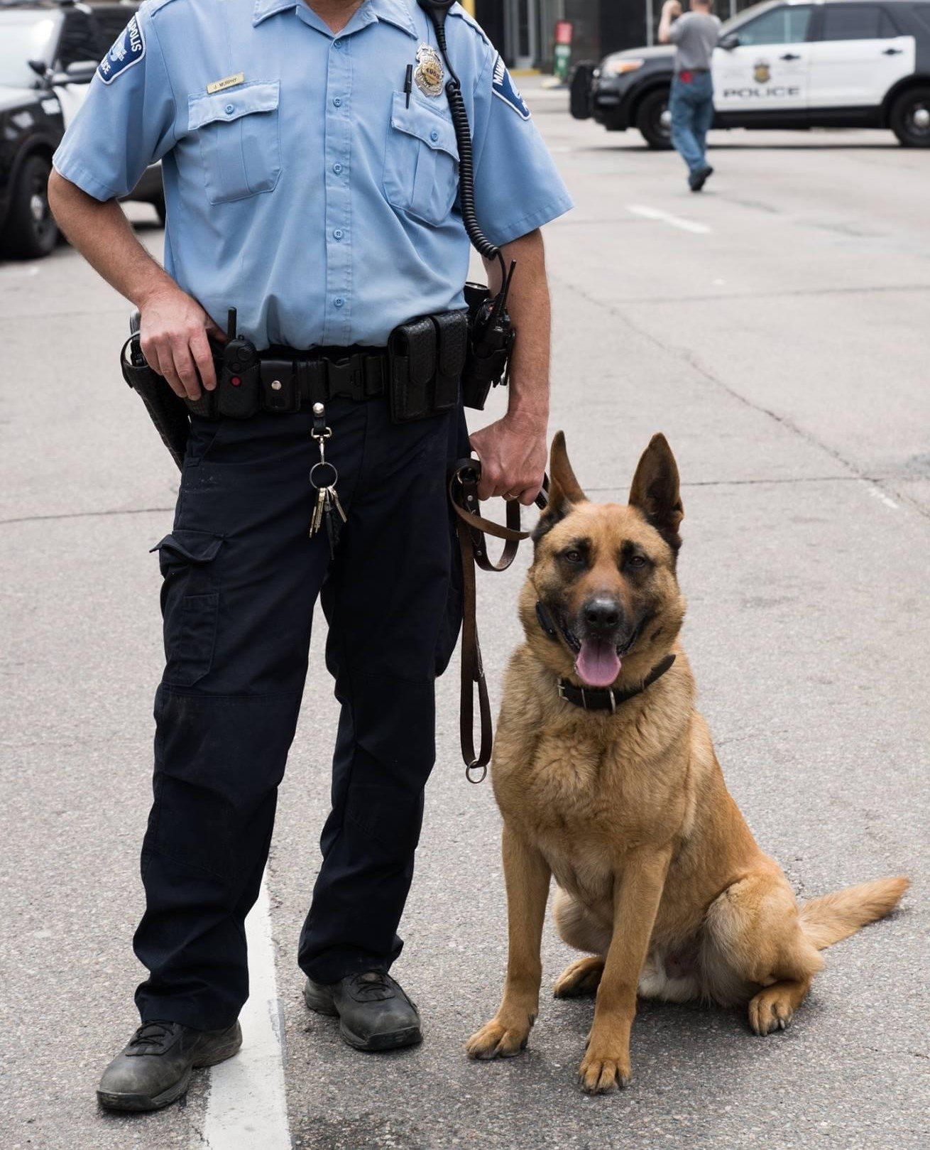 Canine and officer.