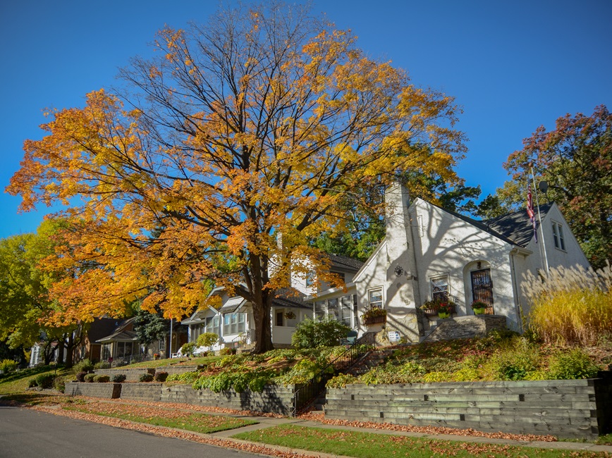 House in Minneapolis with tree in yard showing fall colors