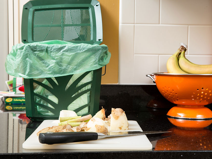 Organics bin with vented lid