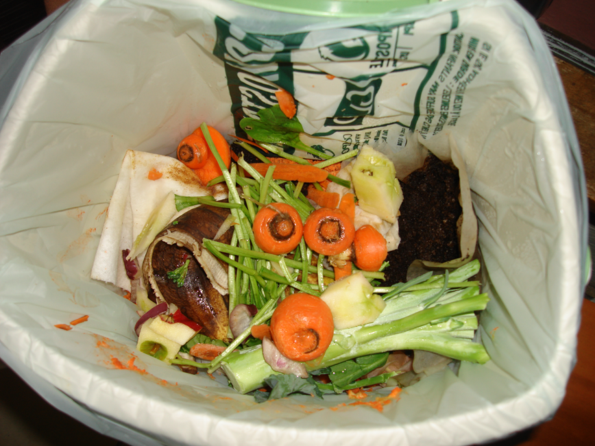 fruit and veggie peels, paper towels, coffee grounds in kitchen pail for composting