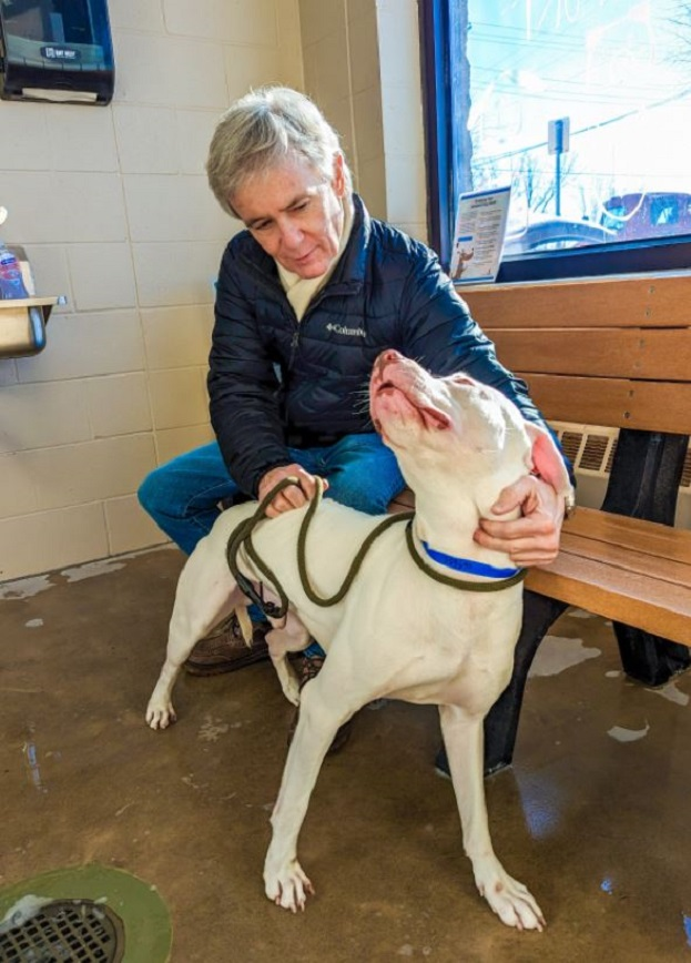 A man sitting on an indoor bench pets a dog A man sitting on an indoor bench pets a dog
