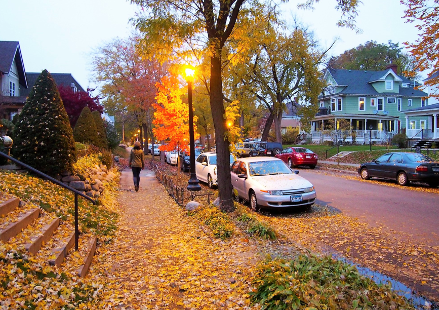 Person walking sidewalk in autumn Person walking sidewalk in autumn