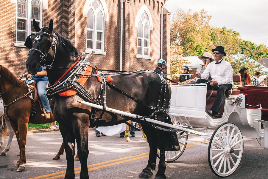 Horse drawn carriage