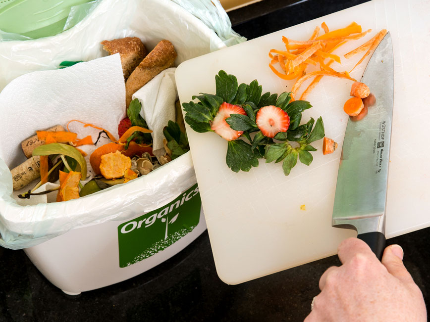 A bin for collecting organics (compostables) with food scraps and paper towels.
