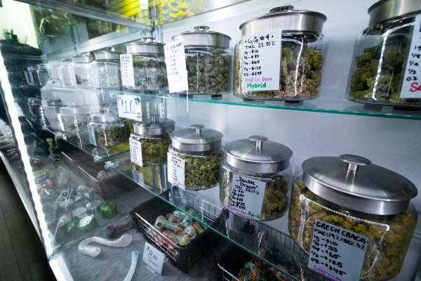 Jars of cannabis labeled on glass shelves