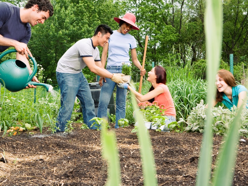 People working in community garden