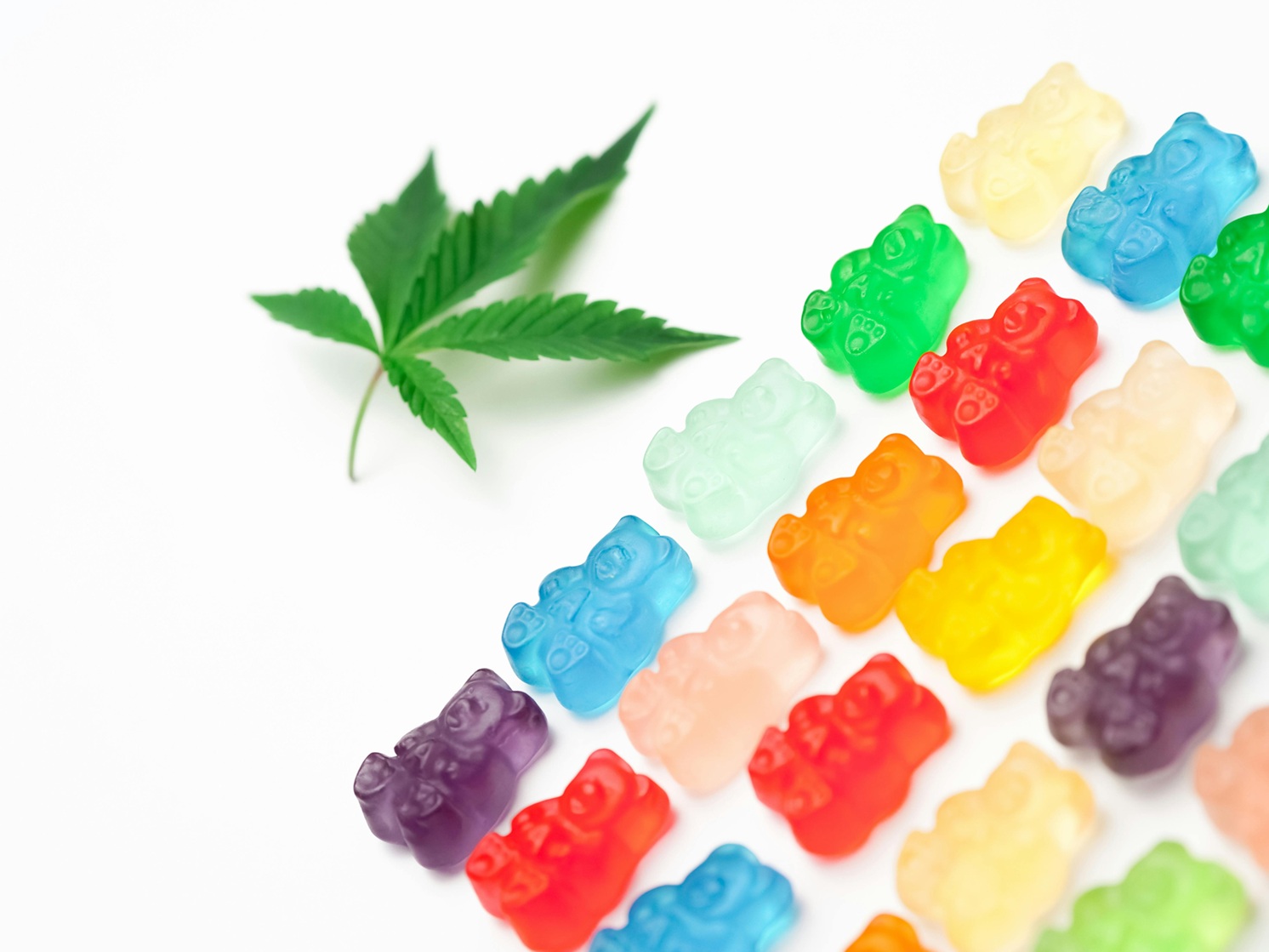 Assorted colored gummy bears on white background with hemp leaf.