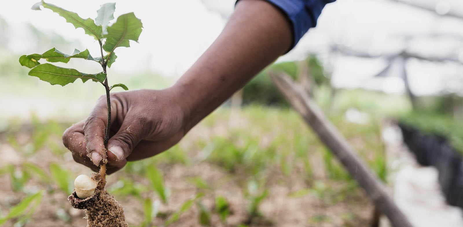 Protect our environment